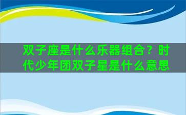 双子座是什么乐器组合？时代少年团双子星是什么意思