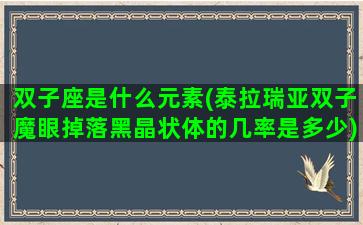 双子座是什么元素(泰拉瑞亚双子魔眼掉落黑晶状体的几率是多少)