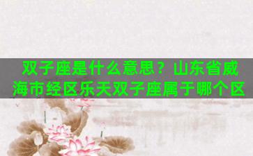 双子座是什么意思？山东省威海市经区乐天双子座属于哪个区