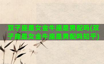 双子座是女金牛座是男配吗(双子座是女金牛座是男配吗知乎)