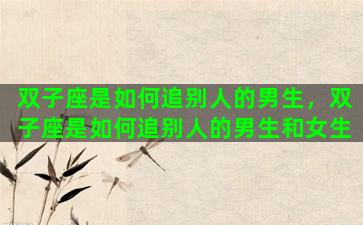 双子座是如何追别人的男生，双子座是如何追别人的男生和女生