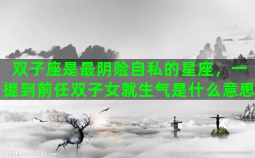双子座是最阴险自私的星座，一提到前任双子女就生气是什么意思