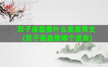 双子座最像什么星座男生(双子座最像哪个星座)