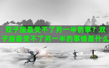 双子座最受不了另一半的事？双子座最受不了另一半的事情是什么