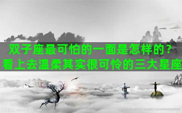 双子座最可怕的一面是怎样的？看上去温柔其实很可怜的三大星座