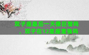 双子座最后一天像巨蟹吗，双子在12星座里强吗
