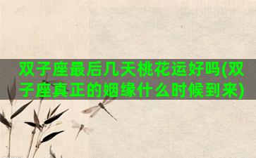 双子座最后几天桃花运好吗(双子座真正的姻缘什么时候到来)