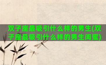 双子座最吸引什么样的男生(双子座最吸引什么样的男生闺蜜)