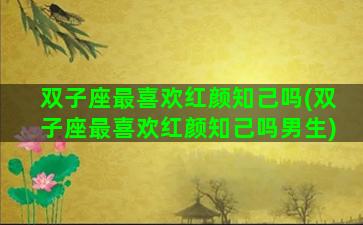 双子座最喜欢红颜知己吗(双子座最喜欢红颜知己吗男生)