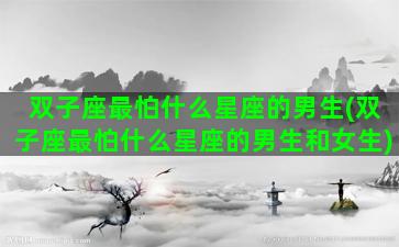 双子座最怕什么星座的男生(双子座最怕什么星座的男生和女生)