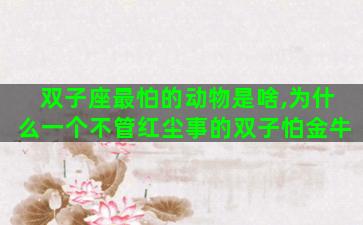 双子座最怕的动物是啥,为什么一个不管红尘事的双子怕金牛