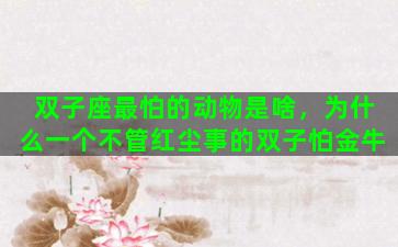 双子座最怕的动物是啥，为什么一个不管红尘事的双子怕金牛