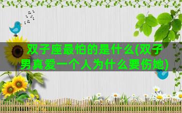 双子座最怕的是什么(双子男真爱一个人为什么要伤她)