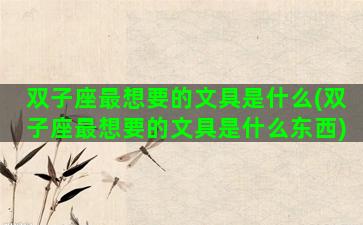双子座最想要的文具是什么(双子座最想要的文具是什么东西)