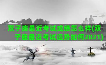 双子座最近考试成绩怎么样(双子座最近考试运势如何2021)