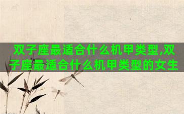 双子座最适合什么机甲类型,双子座最适合什么机甲类型的女生 双子座最适合什么机甲类型,双子座最适合什么机甲类型的女生