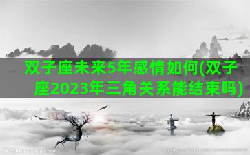 双子座未来5年感情如何(双子座2023年三角关系能结束吗)