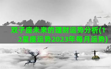 双子座未来的理财运势分析(12星座运势2023年每月运势)