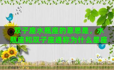 双子座水瓶座的意思是，水瓶座和双子座通称为什么星座