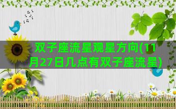 双子座流星观星方向(11月27日几点有双子座流星)