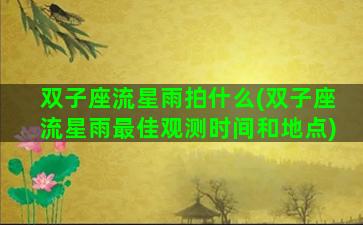 双子座流星雨拍什么(双子座流星雨最佳观测时间和地点)