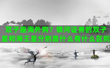 双子座海外购？银河证券的双子星和海王星分别是什么有什么区别