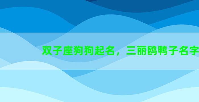 双子座狗狗起名，三丽鸥鸭子名字