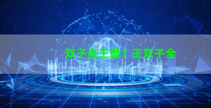 双子座王琨？王双子全