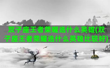 双子座王者荣耀选什么英雄(双子座王者荣耀选什么英雄比较好)