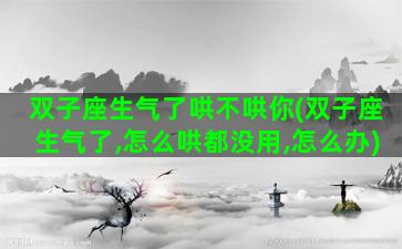 双子座生气了哄不哄你(双子座生气了,怎么哄都没用,怎么办)