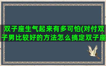 双子座生气起来有多可怕(对付双子男比较好的方法怎么搞定双子座男生)