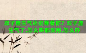 双子座生气还说等着你？双子座生气了,怎么哄都没用,怎么办