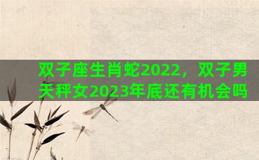 双子座生肖蛇2022，双子男天秤女2023年底还有机会吗