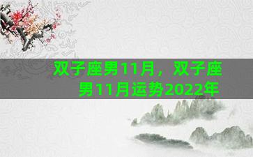 双子座男11月，双子座男11月运势2022年