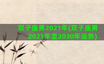 双子座男2021年(双子座男2021年至2030年运势)
