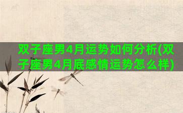 双子座男4月运势如何分析(双子座男4月底感情运势怎么样)