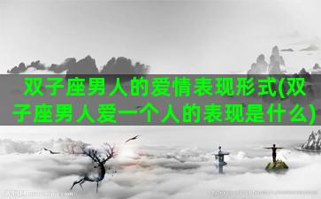 双子座男人的爱情表现形式(双子座男人爱一个人的表现是什么)