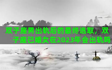 双子座男出轨后的最终选取，双子座已婚女在2023年会出轨吗