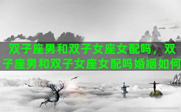 双子座男和双子女座女配吗，双子座男和双子女座女配吗婚姻如何