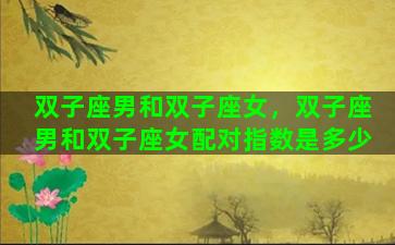 双子座男和双子座女，双子座男和双子座女配对指数是多少