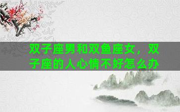 双子座男和双鱼座女，双子座的人心情不好怎么办