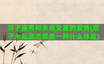 双子座男和水瓶女座的爱情(双子水瓶谈恋爱是一种什么体验)