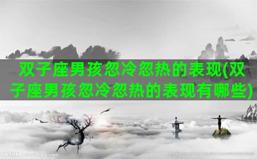 双子座男孩忽冷忽热的表现(双子座男孩忽冷忽热的表现有哪些)