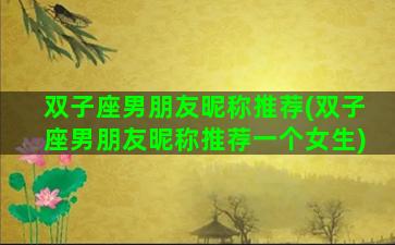 双子座男朋友昵称推荐(双子座男朋友昵称推荐一个女生)
