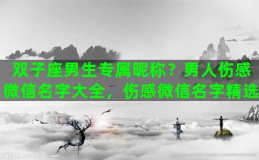 双子座男生专属昵称？男人伤感微信名字大全，伤感微信名字精选