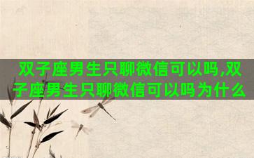 双子座男生只聊微信可以吗,双子座男生只聊微信可以吗为什么 双子座男生只聊微信可以吗,双子座男生只聊微信可以吗为什么