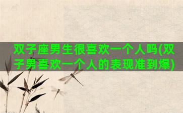 双子座男生很喜欢一个人吗(双子男喜欢一个人的表现准到爆)