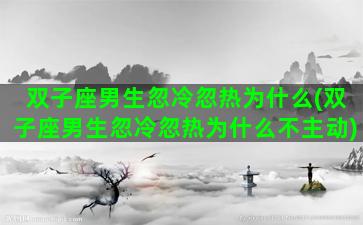 双子座男生忽冷忽热为什么(双子座男生忽冷忽热为什么不主动)