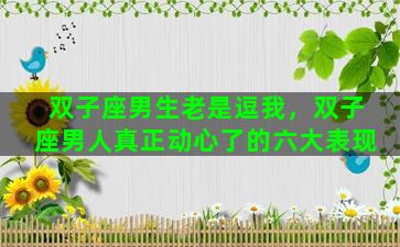 双子座男生老是逗我，双子座男人真正动心了的六大表现