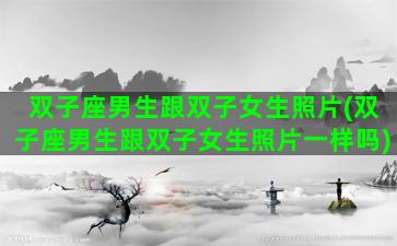 双子座男生跟双子女生照片(双子座男生跟双子女生照片一样吗)
